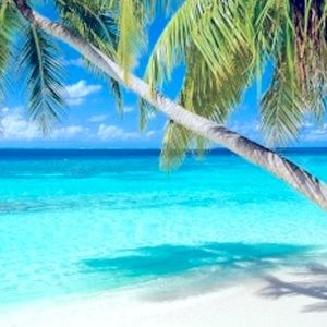 Meet your Posher, Ricky